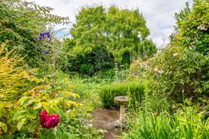 Garden- click for photo gallery